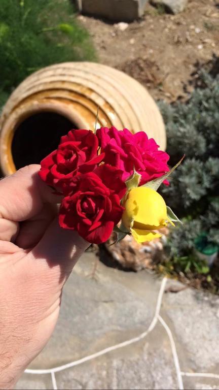 Rose Home Аполлония Экстерьер фото